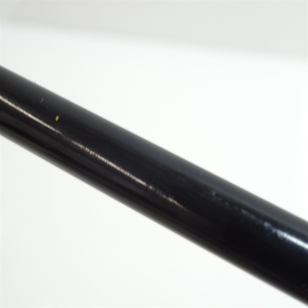 普天元 大我十三